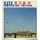 Kite-WeiFang-WeiFang-FengZheng.jpg