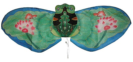 Frosch auf
                        Lotosblatt / Frog on Lotos
