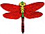 Libelle / Dragonfly