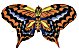 Braunblauer Schmetterling (WeiFang) /
                              Brown Blue Butterfly (WeiFang)