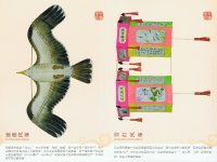 YangJiang ZhiYao Postcard Leporello
                            Booklet